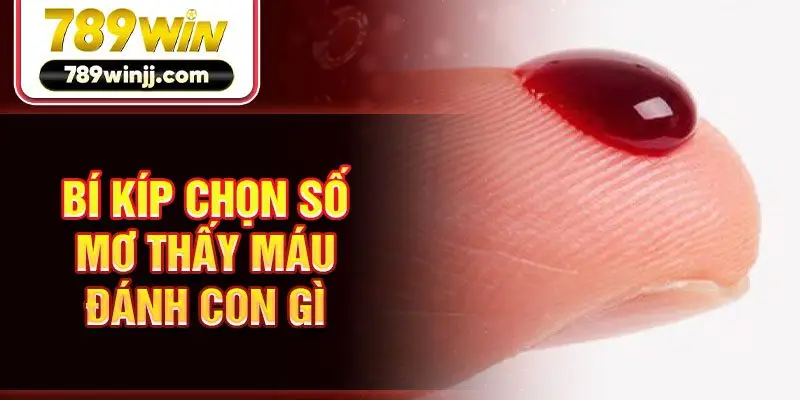 Bí kíp chọn số mơ thấy máu đánh con gì 